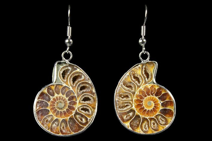 Fossil Ammonite Earrings - Million Years Old #152017